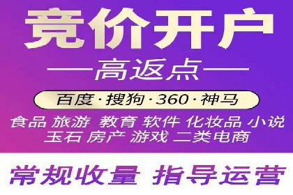 金融行业开户返点策略成功实例